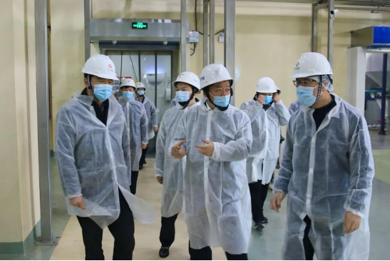 电子游戏试玩入口