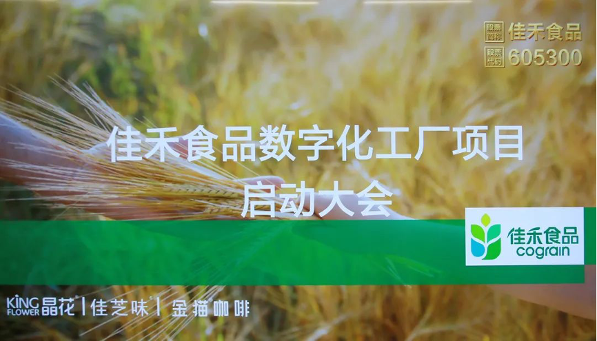 电子游戏试玩入口