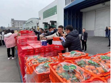 电子游戏试玩入口