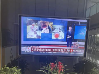 电子游戏试玩入口