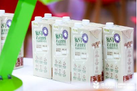 电子游戏试玩入口