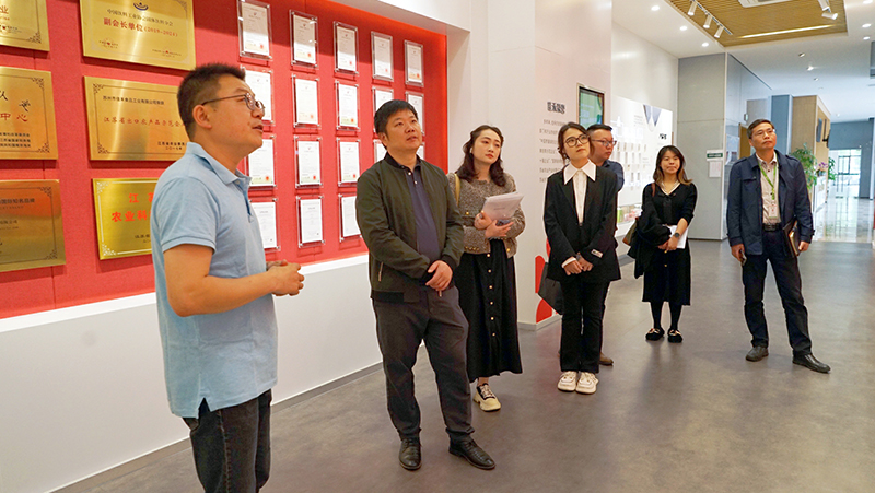 电子游戏试玩入口