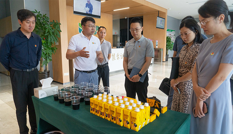 电子游戏试玩入口