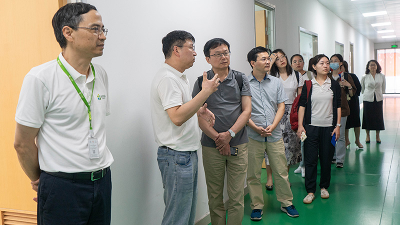 电子游戏试玩入口