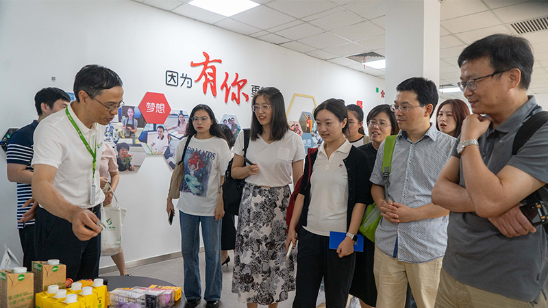 电子游戏试玩入口