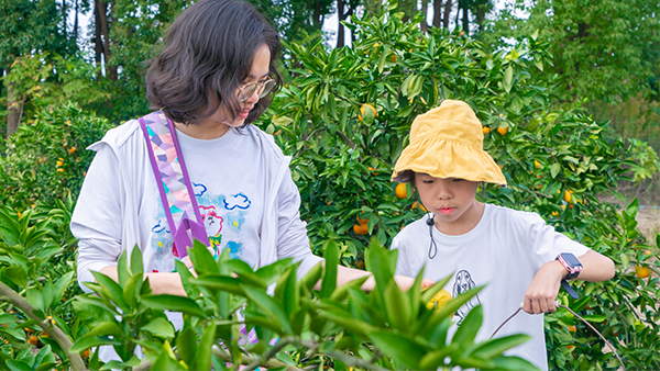 电子游戏试玩入口