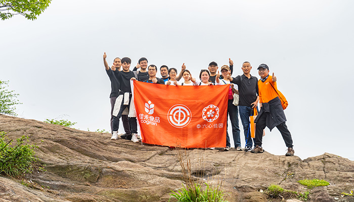 电子游戏试玩入口