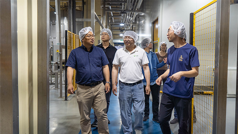 电子游戏试玩入口