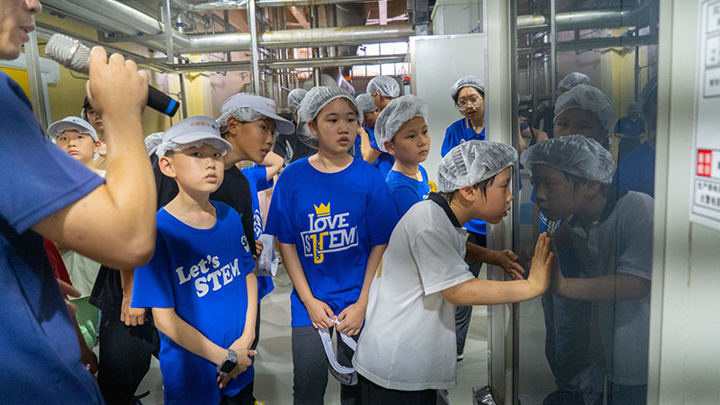 电子游戏试玩入口