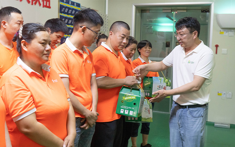 电子游戏试玩入口