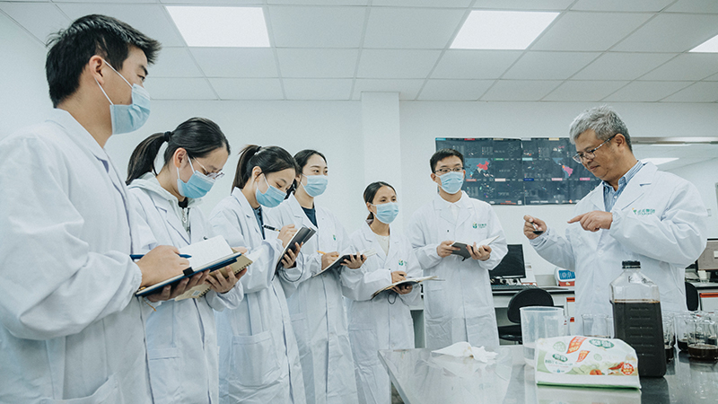 电子游戏试玩入口