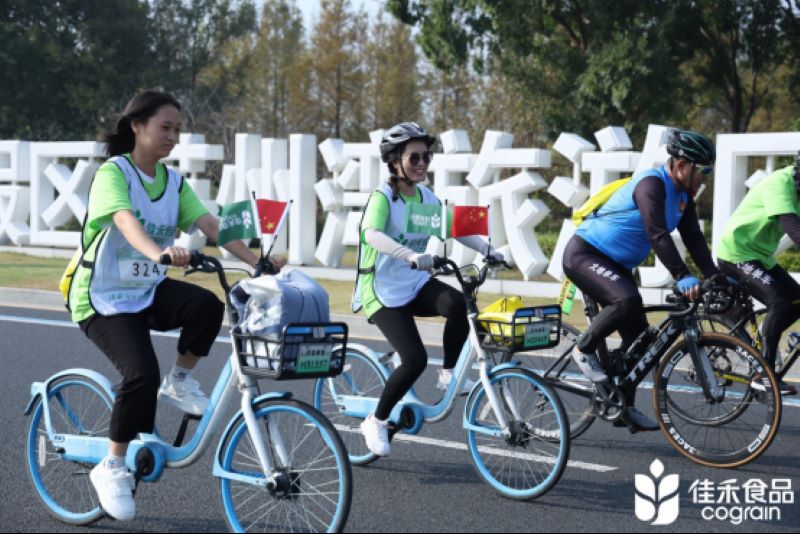 电子游戏试玩入口