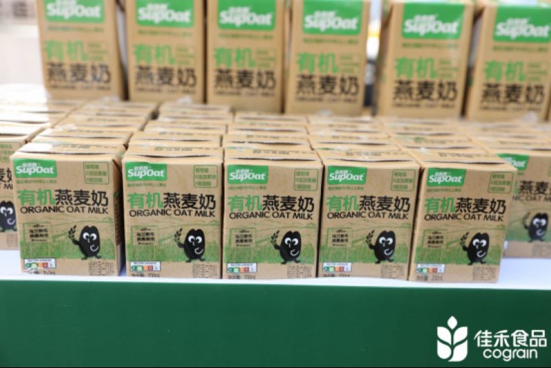 电子游戏试玩入口