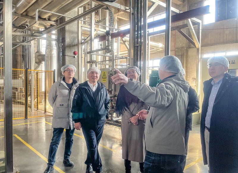 电子游戏试玩入口