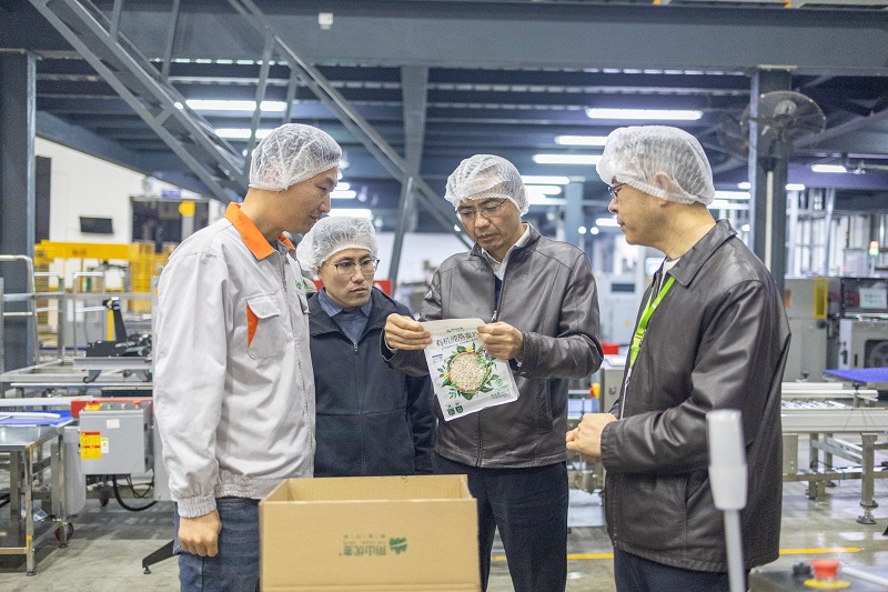 电子游戏试玩入口