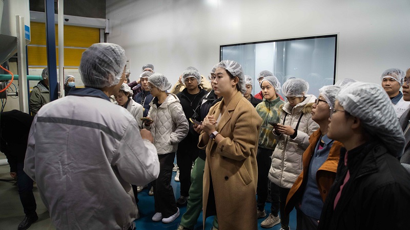 电子游戏试玩入口