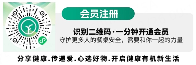 电子游戏试玩入口