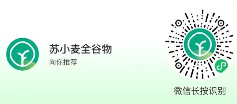 电子游戏试玩入口