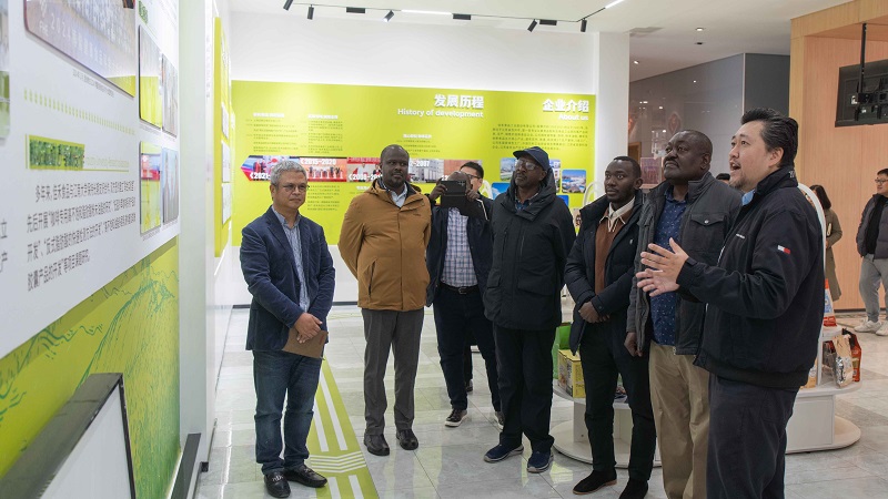 电子游戏试玩入口