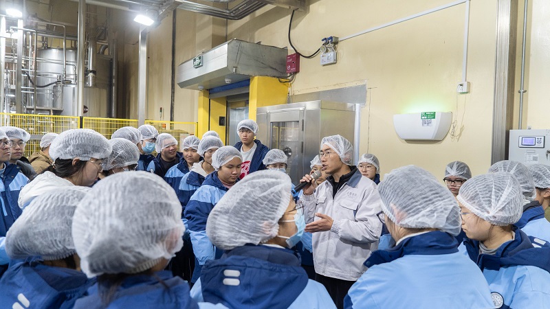 电子游戏试玩入口