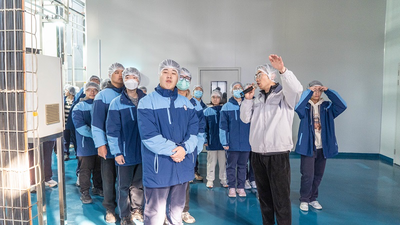 电子游戏试玩入口