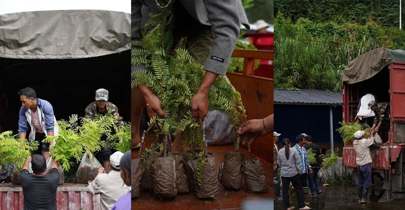 电子游戏试玩入口