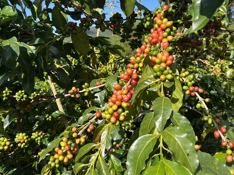 电子游戏试玩入口