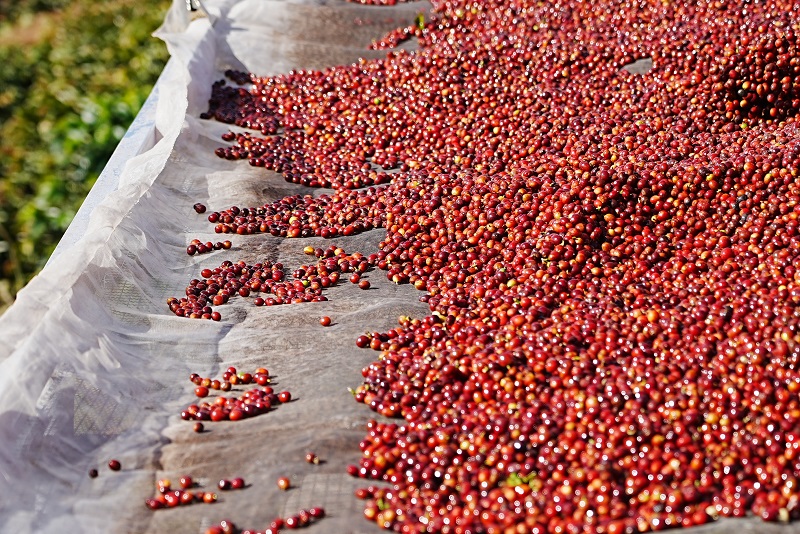 电子游戏试玩入口