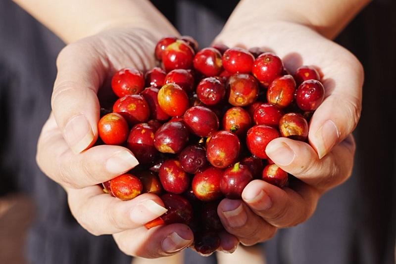 电子游戏试玩入口