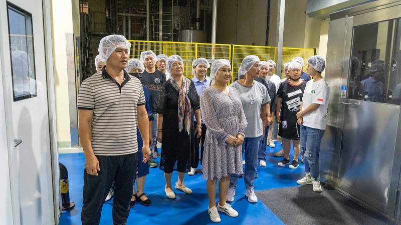 电子游戏试玩入口