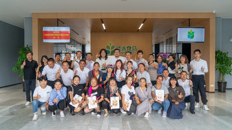 电子游戏试玩入口