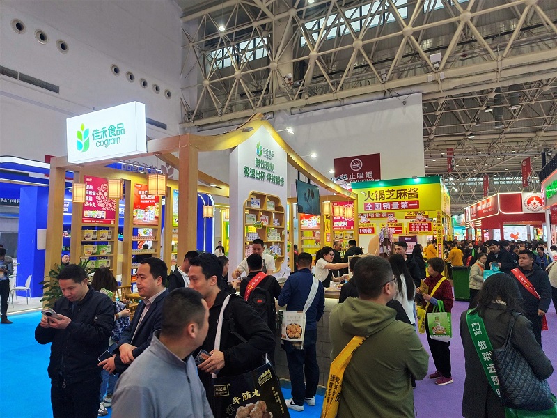 电子游戏试玩入口