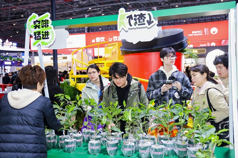 电子游戏试玩入口