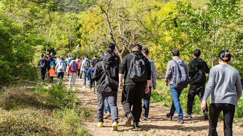 电子游戏试玩入口