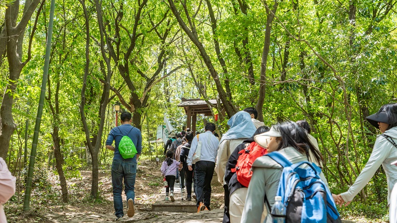 电子游戏试玩入口