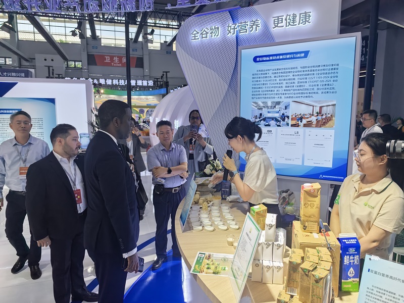 电子游戏试玩入口