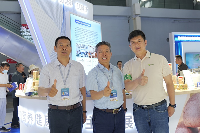 电子游戏试玩入口