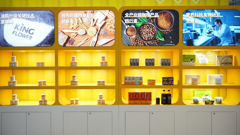 电子游戏试玩入口