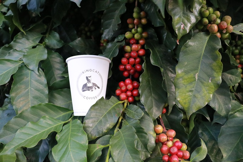 电子游戏试玩入口