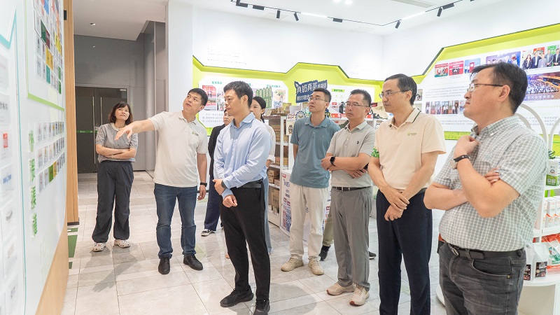 电子游戏试玩入口