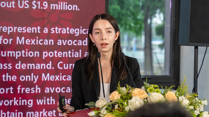 电子游戏试玩入口