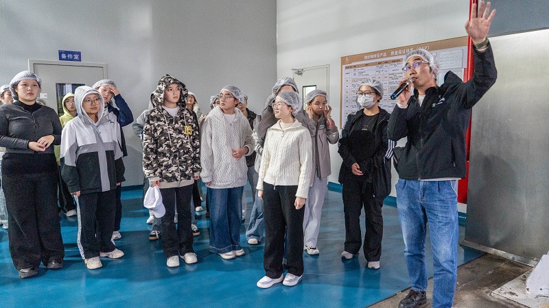 电子游戏试玩入口