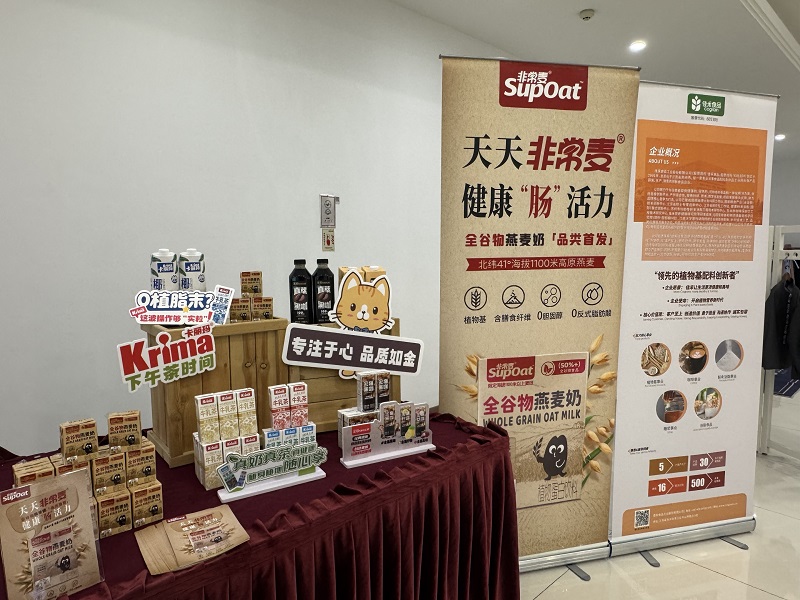 电子游戏试玩入口