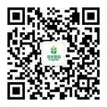 电子游戏试玩入口