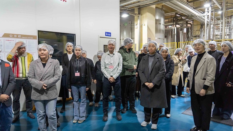 电子游戏试玩入口