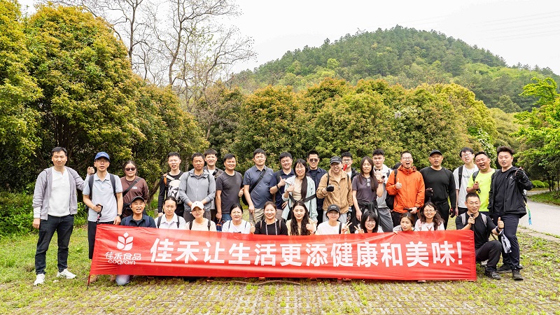 电子游戏试玩入口