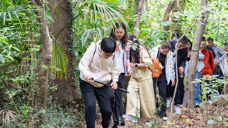 电子游戏试玩入口