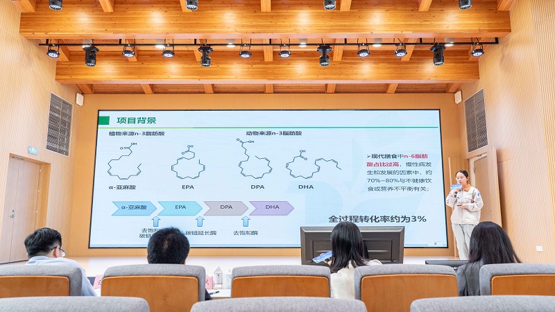 电子游戏试玩入口