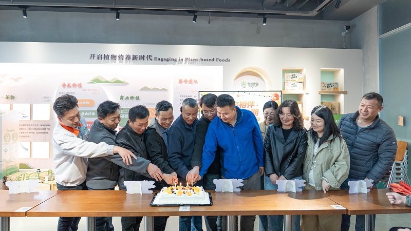 电子游戏试玩入口